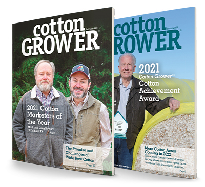 CottonMarket Cotton Market