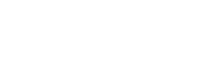 Meister Custom Business Solutions logo w
