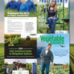 Meister Media Publications Named Finalist in Four Categories for 2026 Azbee Awards for Editorial Excellence in American Fruit Grower, American Vegetable Crower, Croplife and Greenhouse Grower